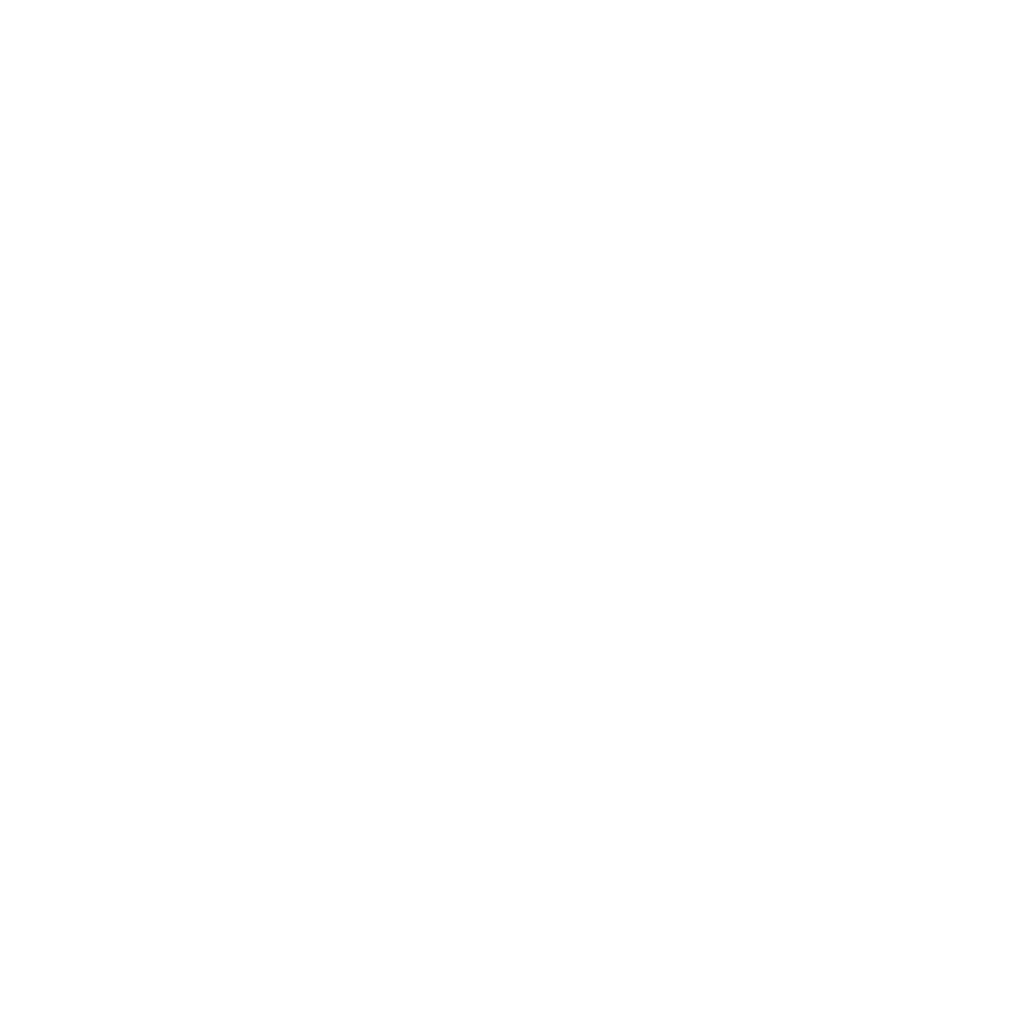 Rays Entertainment Logo